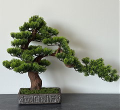 BonsArt Bonsai fa, B0 006