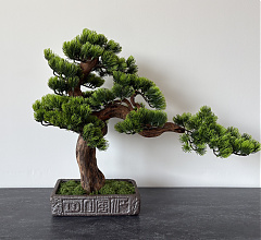 BonsArt Bonsai fa,  B0 001