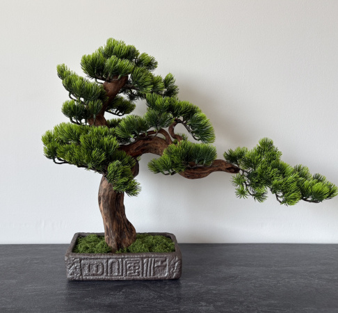 BonsArt Bonsai fa, B0 001