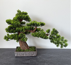 BonsArt Bonsai fa, B0 003