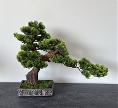 BonsArt Bonsai fa, B0 004