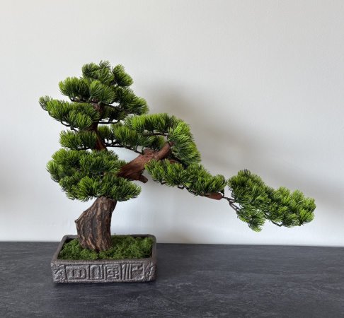 BonsArt Bonsai fa, B0 004