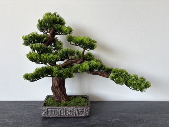 BonsArt Bonsai fa, B0 008