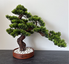 Karácsonyi Bonsart Bonsai Szett, 10