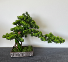 Karácsonyi Bonsart Bonsai Szett, 19