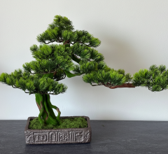 BonsArt Mohás Törzsű Bonsai fa, B0 013