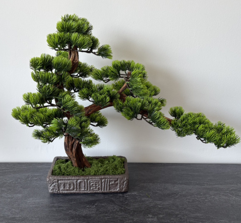 BonsArt Bonsai fa, B0 005