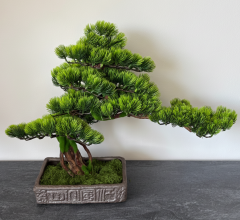 Karácsonyi Bonsart Bonsai Szett, 14