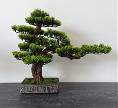 BonsArt Bonsai fa, B0 002